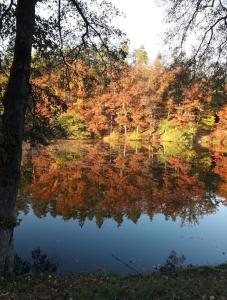Chalets Gite nature en Alsace Bossue : photos des chambres