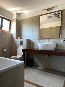 Pensiunea Bujor De Munte Colibita