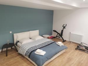 Appartements Superbe Loft d-artiste : photos des chambres
