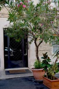 Vatican Giulia img21