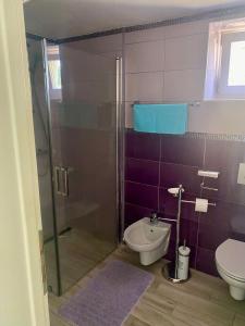 Apartman Anton