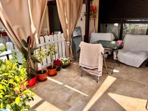 Studio Gul Mona Saturn