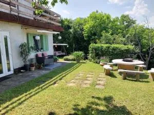 Panoráma Kuckó - Pócsmegyer