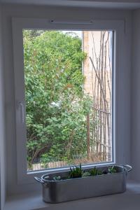 Maisons de vacances Maison de la Porte des Loups dans le Ventoux : photos des chambres