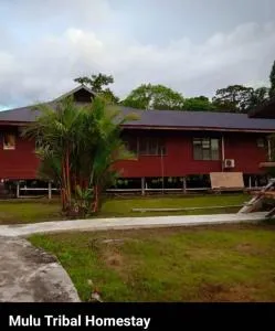 Mulu Tribal Homestay - Bario