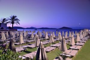 Lugga Boutique Hotel & Beach