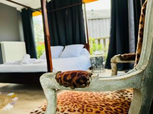 Appartements Loft atypique 130 m2 Clim patio couvert et terrasse PKG tram a 5mn a pied un acces direct au centre-ville : photos des chambres