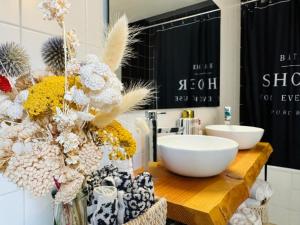 Appartements Loft atypique 130 m2 Clim patio couvert et terrasse PKG tram a 5mn a pied un acces direct au centre-ville : photos des chambres