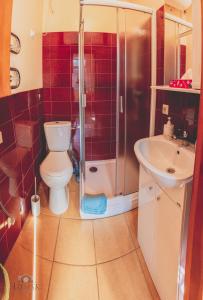 Apartment Under the Maple