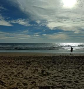 El rincón de las golondrinas