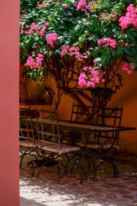 Il Piccolo Giardino rooms & breakfast img50