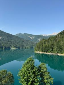 Neider Hotel - Alpine Retreat Sauris
