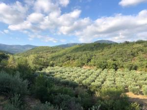 Charmant appartement en duplex & terrasse vue Larzac