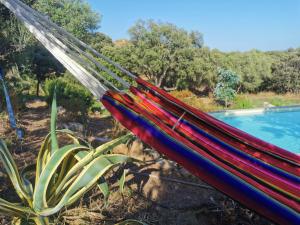 Appartements U caseddu di Monacia : photos des chambres