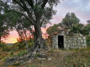 Appartements U caseddu di Monacia : photos des chambres