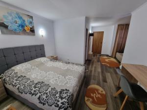Vila Roxana Busteni