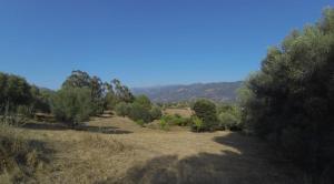 Maisons de vacances chalet 4 a 6 pers a la campagne 15 mn plages et Ajaccio grand terrain arbore calme assure : photos des chambres