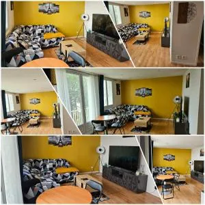 Appartement lumineux meublé - 圣安德烈莱韦尔热