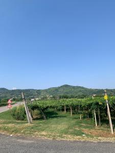 Residenza Viti del Durello Locazione turistica