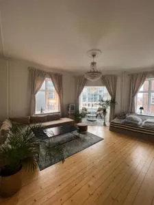 Stor flot herskabslejlighed - Nørresundby