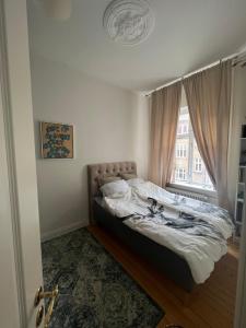 Stor flot herskabslejlighed