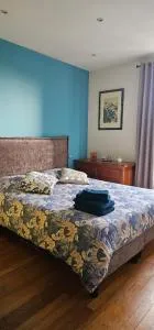 Chambres d'hôtes Aulnay - 塞夫朗