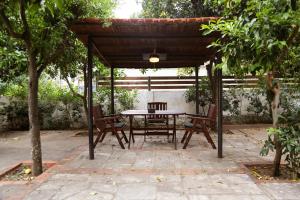 Lemon Tree House