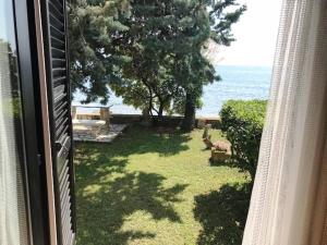 Vita Beachfront apartment