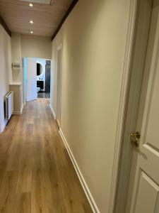 Luxurious apartment in Manor House