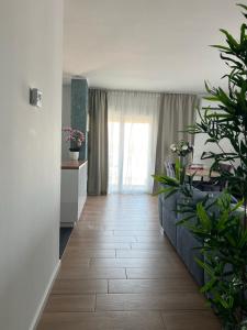 Blue Manor Apartment