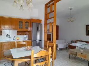 Spacious house near the beach - Petalidhion