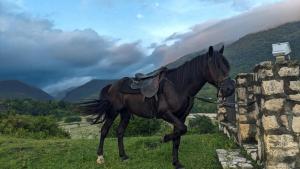 Martvili Guest House OASIS