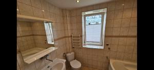 Apartament Roman