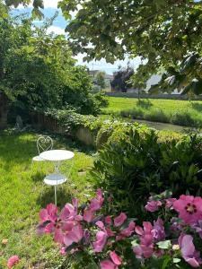 Altstadthaus an der Kleinen Donau