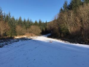 Afan forest-Cregan Cottage-Pet friendly