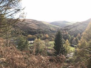 Afan forest-Cregan Cottage-Pet friendly