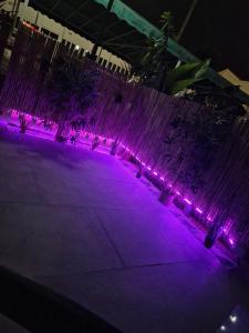 Bungalow Eden Green Oasis