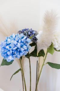 Couronne de Joséphine - 10 mn à pied du Palais et plages, charme et authenticité