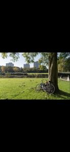 Fully renovated two bedroom apartment in the centre of Amsterdam