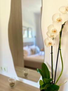 Ceres Loft Apartment