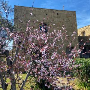 Casa Barbara Sardinia img45