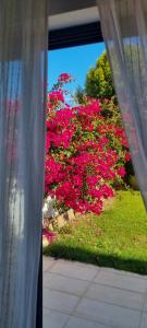 Apartamento Alma viajera