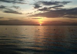 Cancún Caribbean Bambú