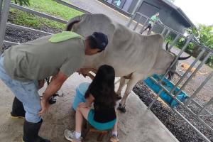 Casa Cielo Jungle House at Cielo Ranch Reserve