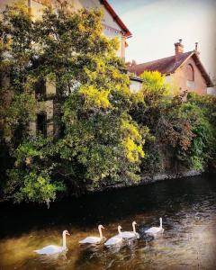 Loft dans Minoterie Les Grands Moulins de Ruffin