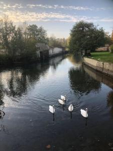 Loft dans Minoterie Les Grands Moulins de Ruffin