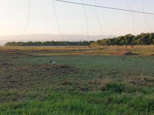 River Edge Holiday Resort