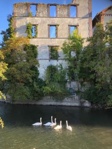 Appartements Loft industriel aux Grands Moulins de Ruffin : photos des chambres