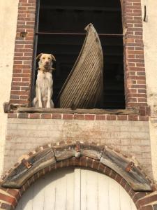 Appartements Loft industriel aux Grands Moulins de Ruffin : photos des chambres