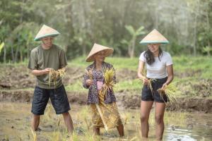 Homestay Bu Enik Borobudur by BToC